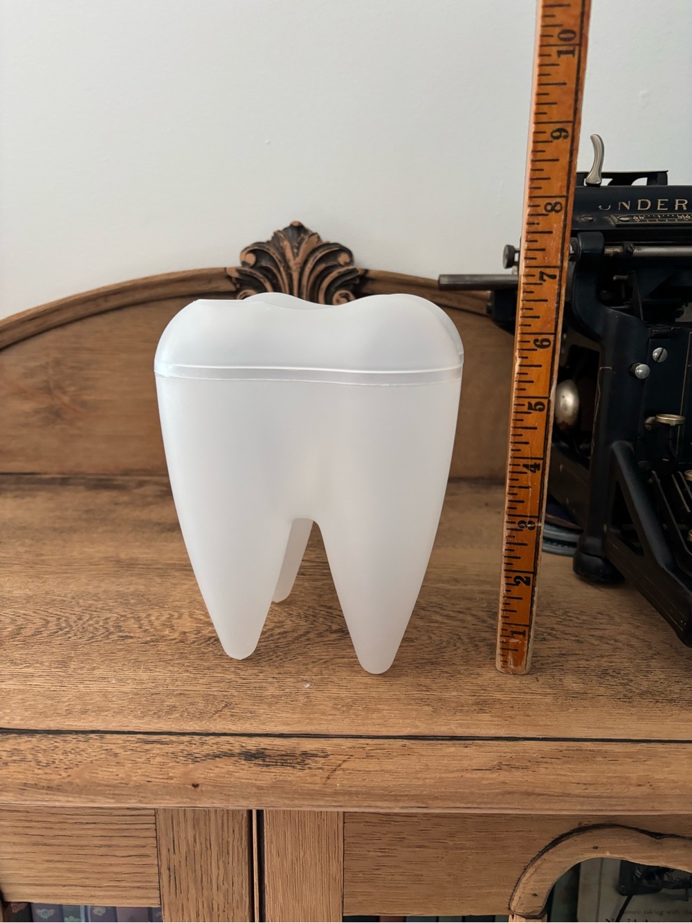 Propaganda Semi Transparent Plastic Tooth Storage Container